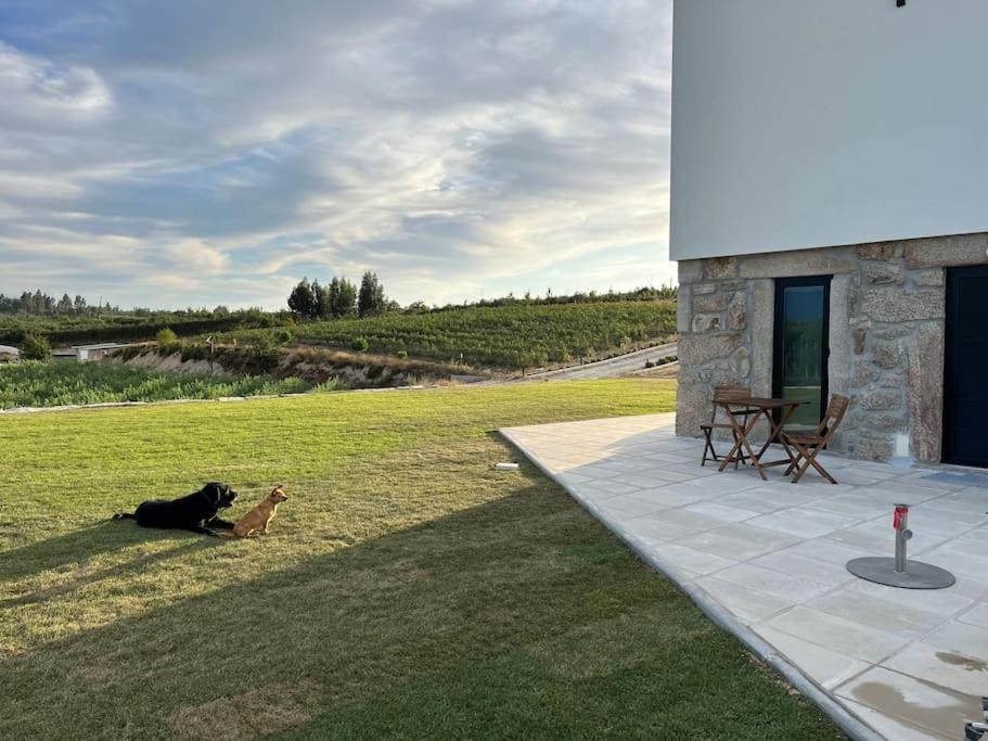 Quinta Do Carregal Vila Mangualde Exterior foto